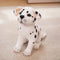 Plush Toy for Puppy, Soft Plush, Teddy Bear Plush